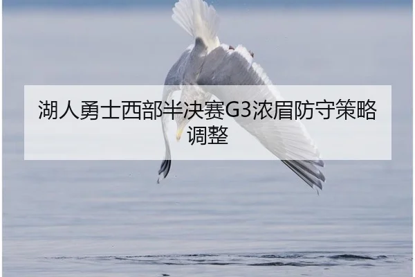 湖人勇士西部半决赛G3浓眉防守策略调整